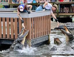 Are you afraid of snakes⁉️🐍❤️ Come let us help you lose your fear and  learn more about them😄😳 Happy World Snake Day from some of our  slytheriest family members‼️‼️‼️#worldsnakeday #snakes #snakelife