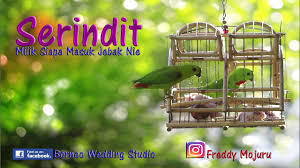 Bedah fitur windows 10 ep.1: Serindit Solo Dgn 10 Gaya Singa Masing Vlog 054 By Freddy Mojuru