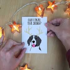 Maybe you would like to learn more about one of these? Personalised Pet Christmas Cards Set Of 5 Afewhometruths