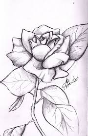 .flores flores para dibujar y dibujar flores ver más dibujos de flores de colores imagenes y dibujos para imprimir 113 dibujos para colorear flores imágenes para escuelas y educación con estos. 1001 Ideas Sobre Como Dibujar Una Rosa Paso A Paso