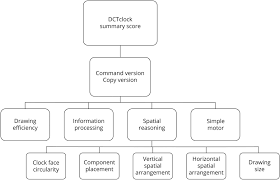No points are given for trials one and two. Association Of Digital Clock Drawing With Pet Amyloid And Tau Pathology In Normal Older Adults Neurology