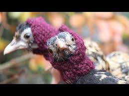 We did not find results for: Not Enough Chickens Wear Hats Start Up Knitting Is Fun 7 Steps With Pictures Instructables