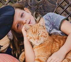 Orange Tabby Cats Facts Lifespan Intelligence All About Cats