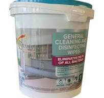 Wipe it Away General Cleaning and Disinfecting Wipes, 300 ...
