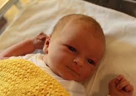 Silja Andrésdóttir Schultz