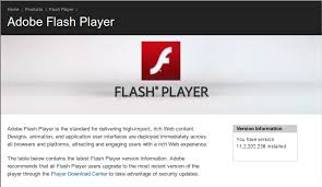 Program for running many formats of video in games and on the web. Download Adobe Flash Player For 64 Bit Linux 32 0 0 403