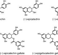 Full article: Emerging techniques for catechin extraction ...