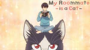 He would much rather stay home to read a book than go outside and interact with others. My Roommate Is A Cat Opening Unknown World Youtube