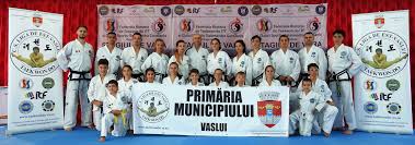 최홍희) em seul, coreia do sul. 2017 Pagina 2 Club Sportiv Liga De Est Vaslui