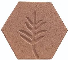 Image result for Basananthe pedata