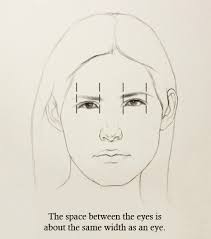 See more ideas about face drawing, drawings, draw. 5 Proportions Of The Face To Know