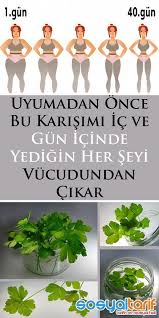 Pin By Said Sen On Diyet Detox Health Detox Health Lifestyle