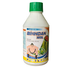 Binhdan 18SL