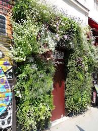 Le Mur Vegetal De L Artisan Fleuriste Paris 3e Mur Vegetal Fleuriste Paris Et Jardins