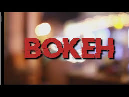 Free download hd or 4k use all videos for free for your projects. B O K E H Options Official Video Youtube