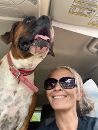 Recommendations for holistic vet in San Diego?