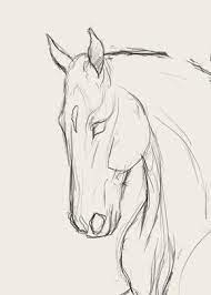 Warmblood Sketch Animal Drawings Sketches Horse Drawings Horse Sketch