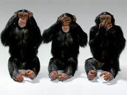 Three Monkeys Hear No Evil See No Evil Speak No Evil This Would Eliminate Alot Of Problems Three Wise Monkeys Wise Monkeys See No Evil