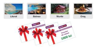 Societățile beneficiază de o procedură similară de impozitare când acestea sunt acordate clienților persoane fizice. Tichete Cadou Stim Solutia Pentru Dezvoltarea Afacerii Tale