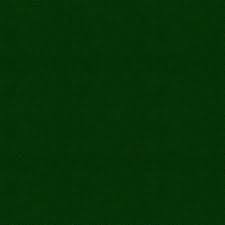 Image result for Amazon Green 1999 F250