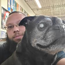 Timber Skate Shop added a new photo.