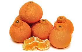 Maybe you would like to learn more about one of these? Sumo Mandarins Might Look Like An Old Dried Up Orange But Are Actually An Intensely Sweet And Delicious Citrus Packed With V Orange Nutrition Orange Citrus