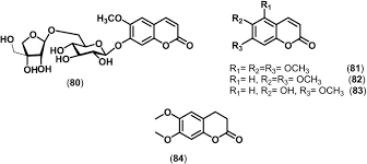 Image result for Multidentia crassa