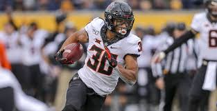 Image result for Hubbardochloa