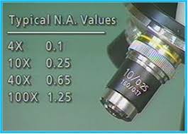 All kinds of advanced optical microcirculation microscope are available. Numerical Aperture Microbus Microscope Educational Website