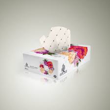 Tissues Box Packaging Design Concept World Brand Design