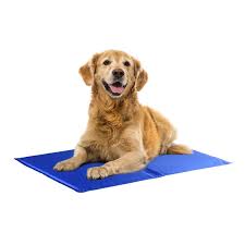 Cat cooling pads are one great way to keep our feline friends invigorated, especially during the summer heat. Isyoung Pet Cooling Mat Keeps Pets Cool Perfect Size Cooling Pad Blue Check This Awesome Image Pet Dog Bedd Pet Cooling Mat Cat Cold Covered Dog Bed