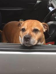 Watford Builders Watfordplastering.co.uk Quality Trusted Traders On Hand