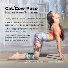 The Holistic Benefits Of Cat Cow Pose Cat Cow Pose Cow Pose Yoga Benefits