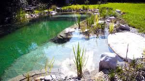 Schwimmteich Oder Naturpool Schwimmteich Natur Pool Naturschwimmteich