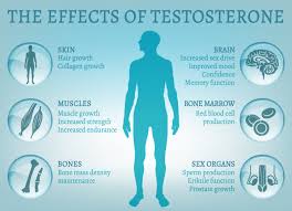 Testosterone Replacement Therapy - New Creation MediCosmetic