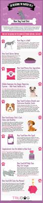 If you would like to know more about how raw food can benefit a poorly dog see the separate section on this website. Why Should I Feed My Dog Raw Food Trudog Raw Dog Food Recipes Dog Food Recipes Healthy Dog Food Recipes