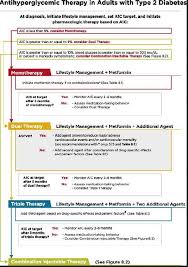 diabetes medication chart 2017 pdf