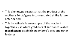 Chapter 18 Gene Regulation Part 3 Ppt Download