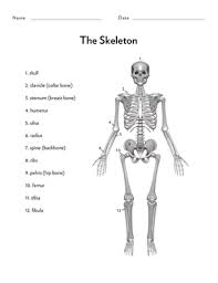 Awesome Anatomy Bone S To Pick Worksheet Education Com In 2020 Kindergarten Worksheets Literacy Worksheets Worksheets
