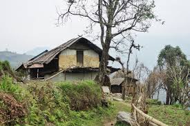 Image result for looking up at ceiling where smoke goes out of sherpa home
