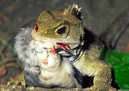 We did not find results for: Evolution Of Plants And Animals Te Ara Encyclopedia Of New Zealand