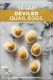 This Deviled Quail Eggs Recipe Is So Simple And Incredibly Tasty Your Teeny Tiny Little Eggs Can Be Served All On Their Quail Eggs Quail Recipes Egg Recipes