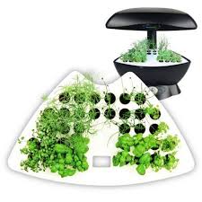 The convenient pods contain vegetable seeds, coir compost and continuous release plant food, and they are constructed. Aerogarden Garden Starter System By Aerogrow Http Www Amazon Com Dp B0067nckvg Ref Cm Sw R Pi Dp Zofbrb1zmg0ay Aerogarden Seed Starting Seedlings Indoors