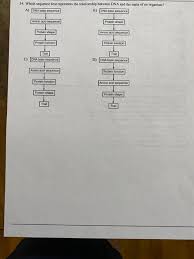 Use your chromosome models from discussion or lab to illustrate the location of a gene for the production of a particular protein. Solved 34 Which Sequence Best Represents The Relationshi Chegg Com