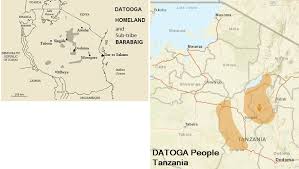 Image result for Selago barabei