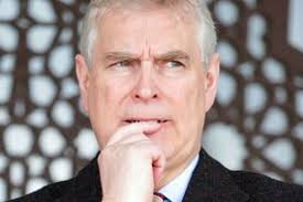 Princess Leonor looks every bit the future Queen in elegant wintry get-up  for royal duties