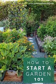 How To Start A Garden 101 Homestead And Chill Starting A Garden Backyard Garden Backyard Garden Landscape