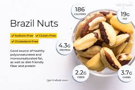 brazil nut nutrition facts calories and health benefits