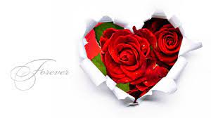Pink rose petals love background. Wallpapers Flower Love Rose Wallpaper Cave