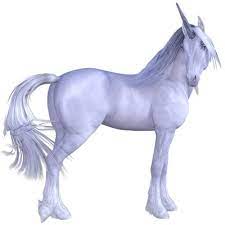 Online coloring > rainbows, unicorns. What Do Unicorns Look Like Unicorn Yard